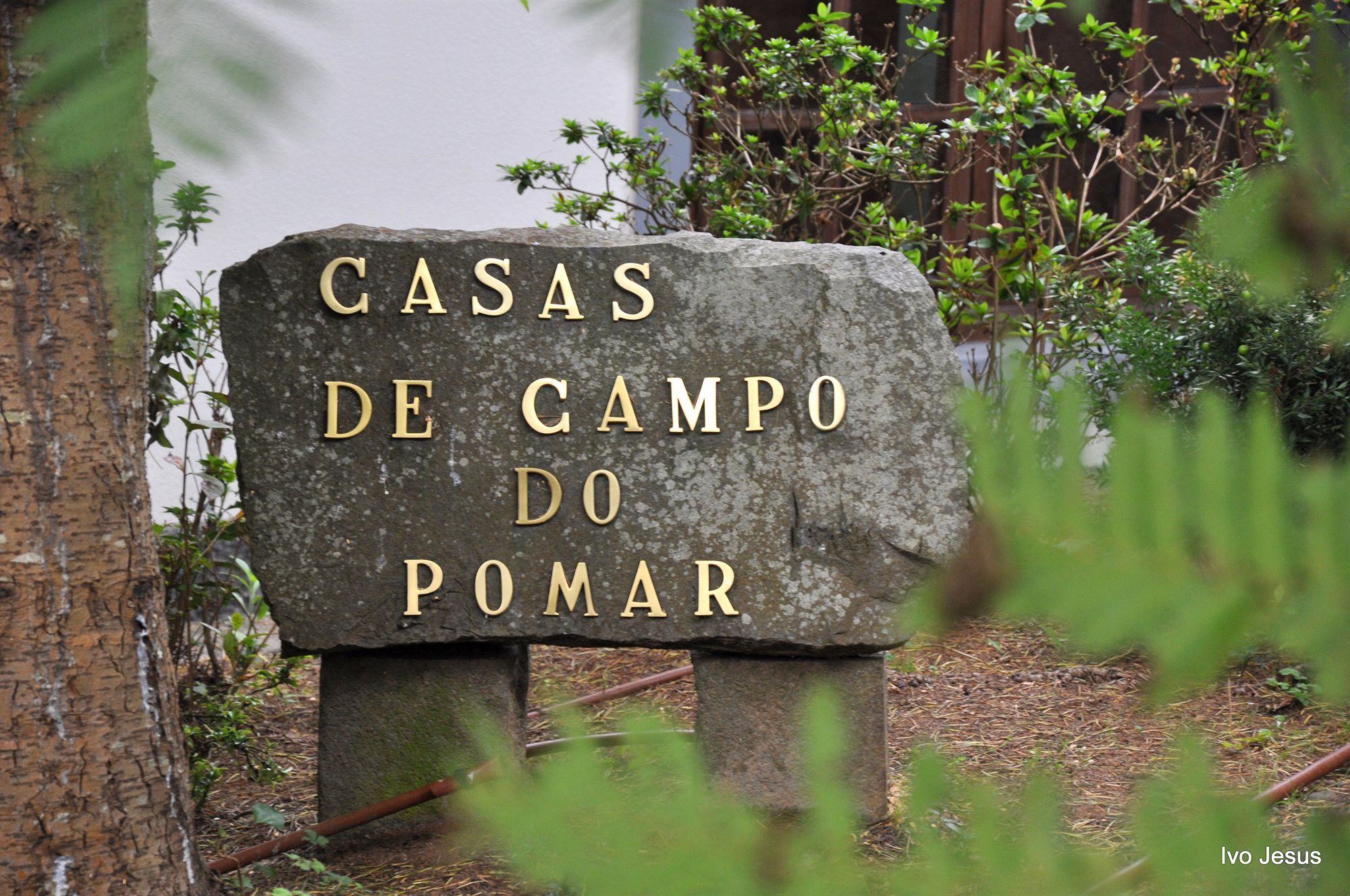 Casas De Campo Do Pomar B&B - Self Check-In Сантана Екстериор снимка